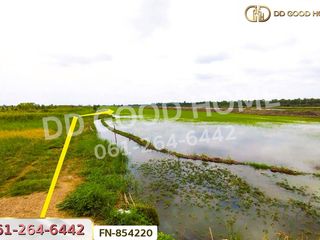 For sale land in Lam Luk Ka, Pathum Thani
