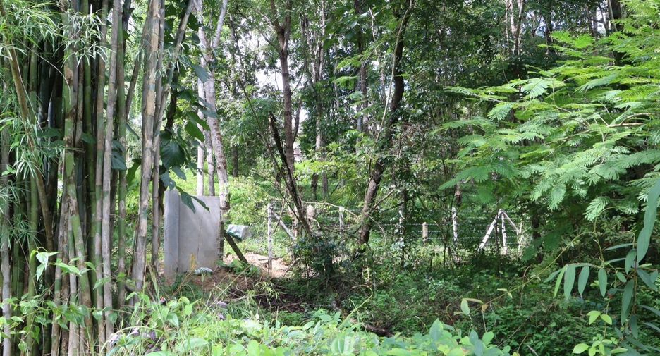 Terreno en venta en Mae Rim, Chiang Mai