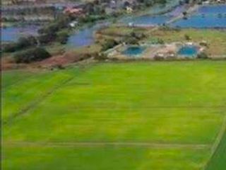 For sale land in Ongkharak, Nakhon Nayok