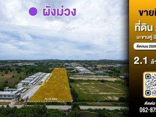 ขาย ที่ดิน ใน นิคมพัฒนา, ระยอง