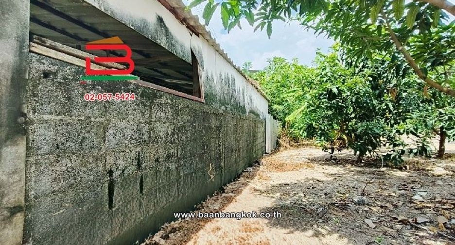 出租 和 出售 土地 在 Pak Kret, Nonthaburi