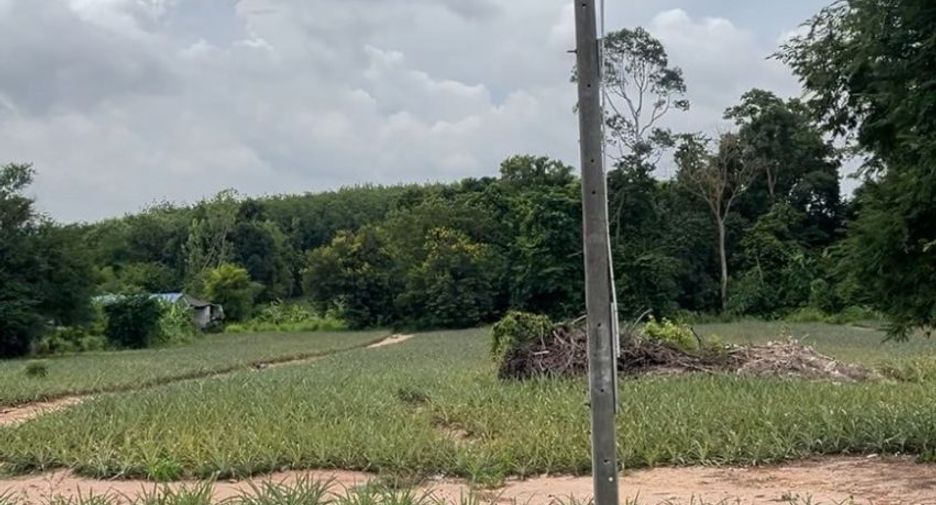 Grundstück zur Miete und zum Kauf in Nikhom Phatthana, Rayong