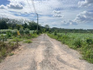 出售 土地 在 Pluak Daeng, Rayong