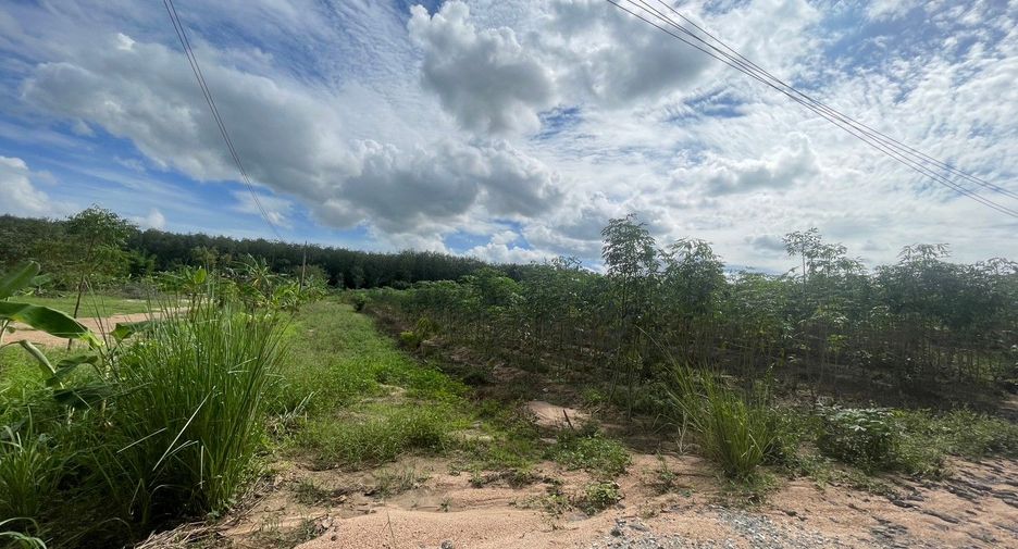 For sale land in Pluak Daeng, Rayong