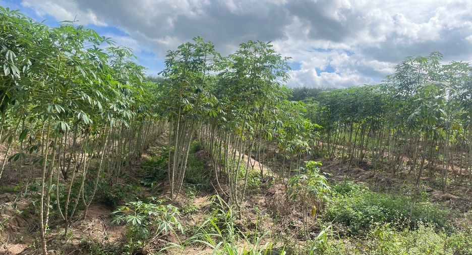For sale land in Pluak Daeng, Rayong