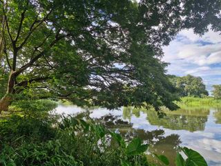 For sale land in Mueang Kanchanaburi, Kanchanaburi