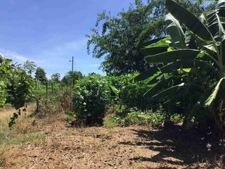 For sale land in Mueang Kanchanaburi, Kanchanaburi