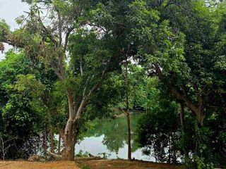 For sale land in Mueang Kanchanaburi, Kanchanaburi