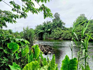 For sale land in Mueang Kanchanaburi, Kanchanaburi