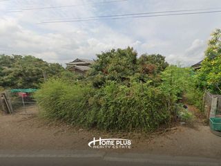 For sale land in Doi Lo, Chiang Mai