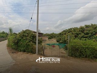 For sale land in Doi Lo, Chiang Mai