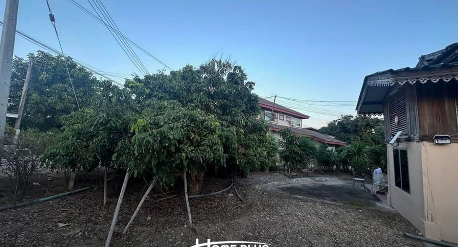 For sale land in Doi Lo, Chiang Mai