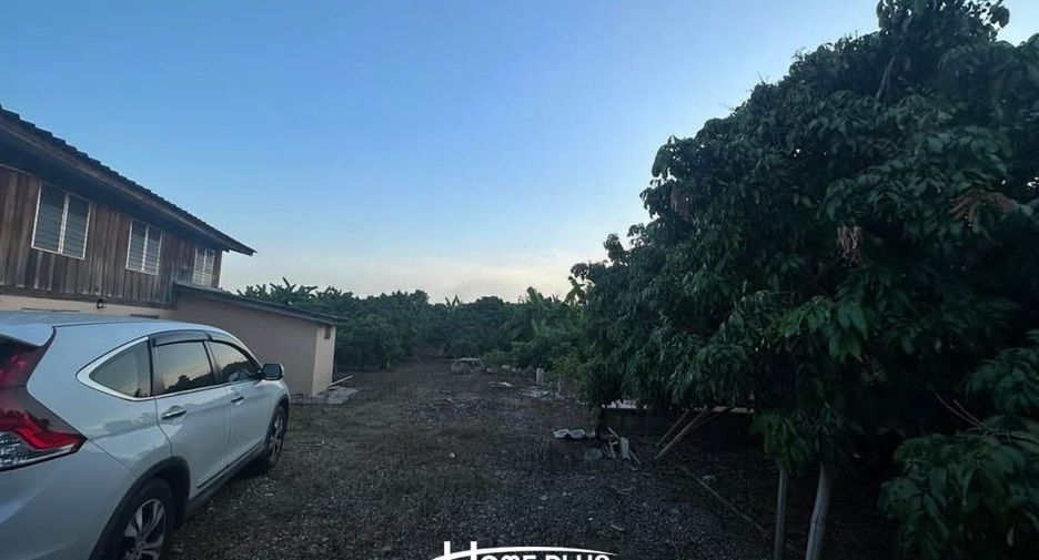 For sale land in Doi Lo, Chiang Mai