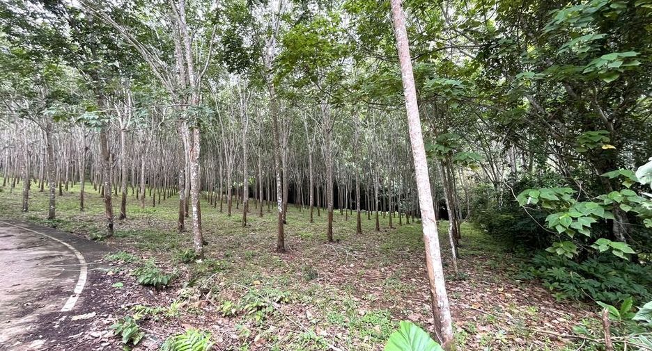 À vendre terrain à Mueang Krabi, Krabi