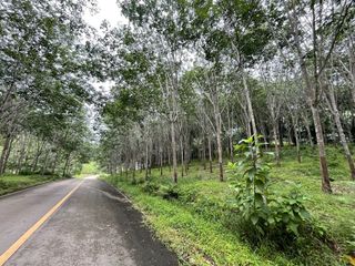 For sale land in Mueang Krabi, Krabi