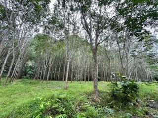For sale land in Mueang Krabi, Krabi