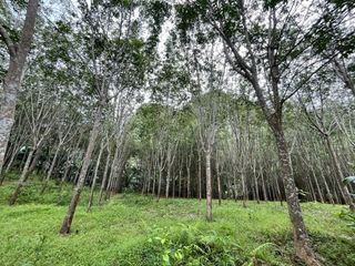 For sale land in Mueang Krabi, Krabi