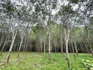 For sale land in Mueang Krabi, Krabi