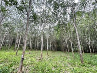 For sale land in Mueang Krabi, Krabi