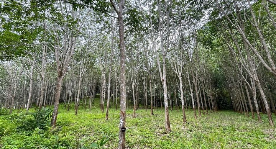 À vendre terrain à Mueang Krabi, Krabi