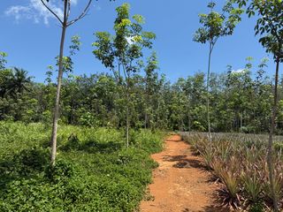 ขาย ที่ดิน ใน เมืองกระบี่, กระบี่