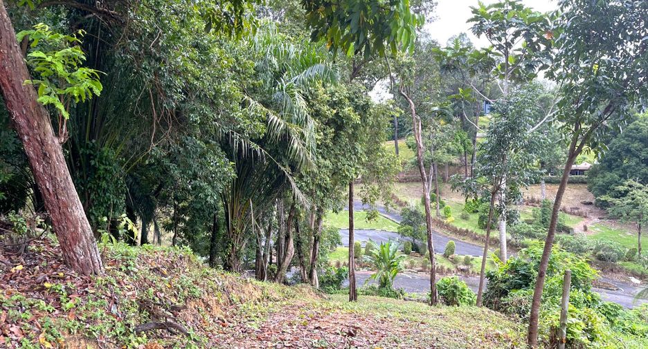 Grundstück zum Kauf in Mueang Krabi, Krabi