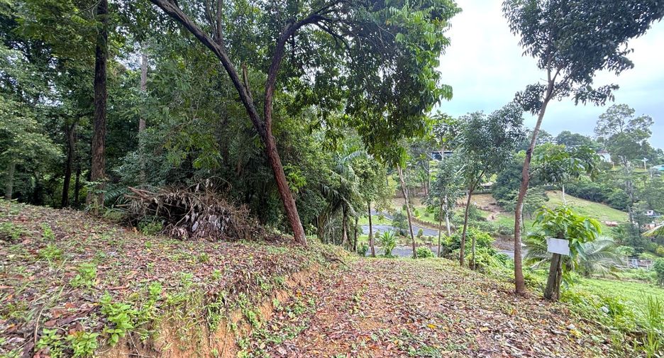 Grundstück zum Kauf in Mueang Krabi, Krabi