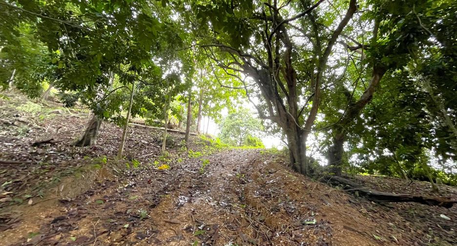 Grundstück zum Kauf in Mueang Krabi, Krabi