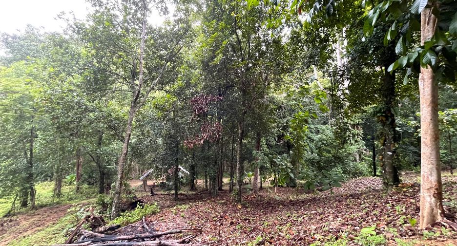 Grundstück zum Kauf in Mueang Krabi, Krabi