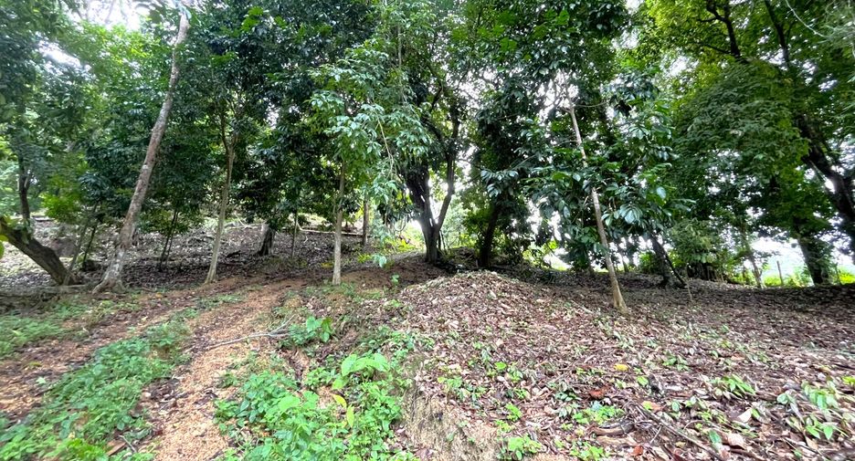 Grundstück zum Kauf in Mueang Krabi, Krabi
