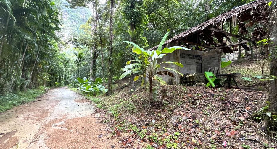 Grundstück zum Kauf in Mueang Krabi, Krabi