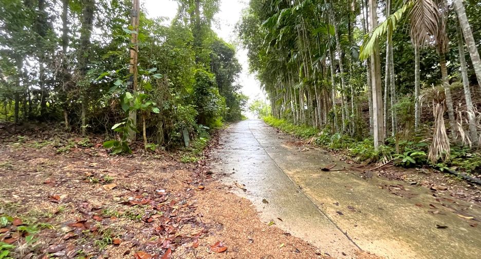 Grundstück zum Kauf in Mueang Krabi, Krabi