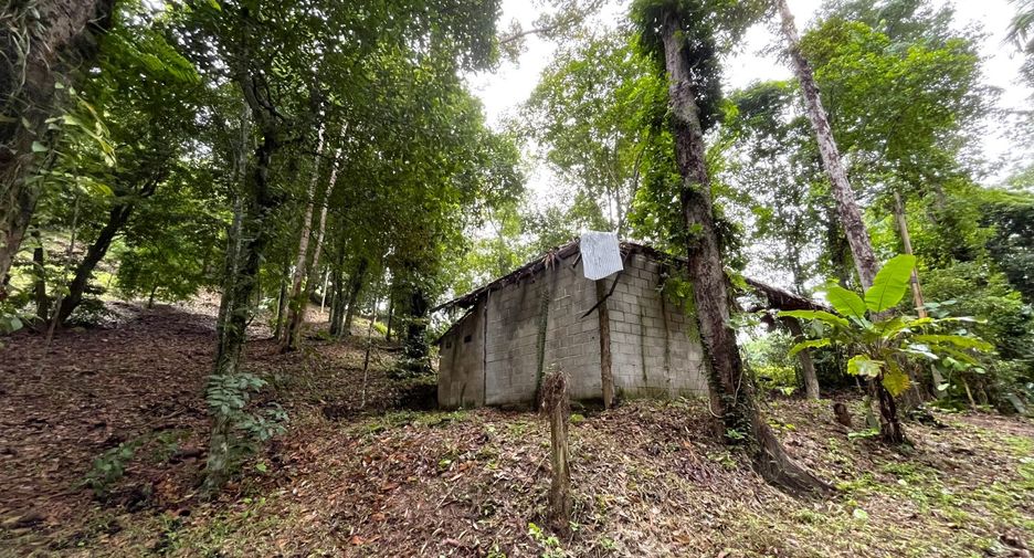 Grundstück zum Kauf in Mueang Krabi, Krabi