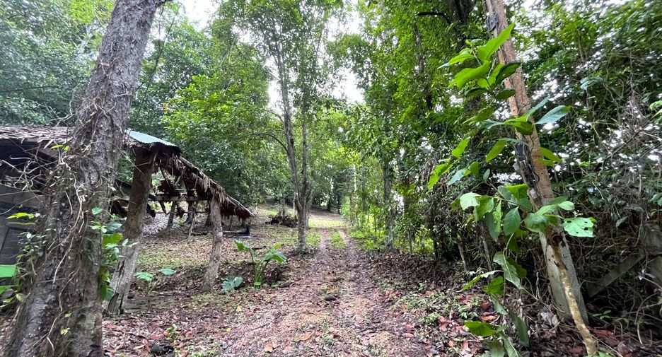 Grundstück zum Kauf in Mueang Krabi, Krabi