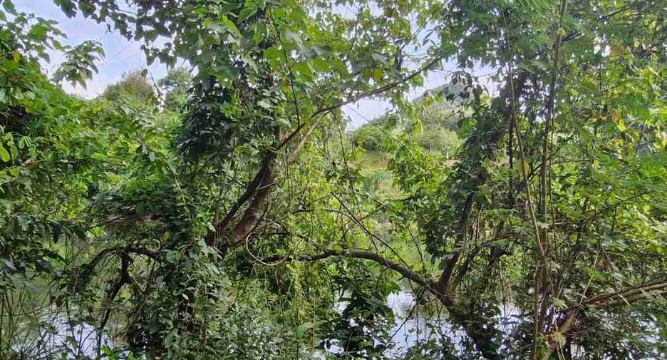 出售 土地 在 Si Sawat, Kanchanaburi