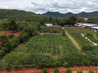 出售 土地 在 Pak Chong, Nakhon Ratchasima