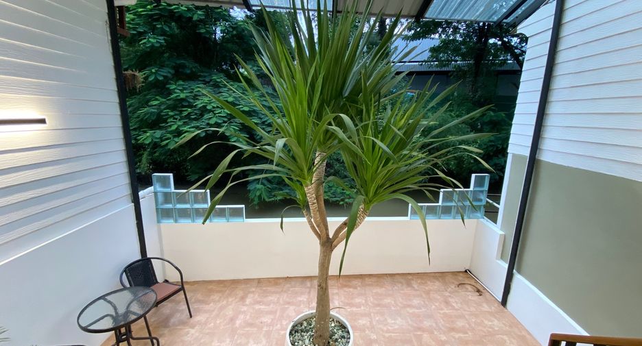 For sale 3 bedrooms townhouse in San Sai, Chiang Mai