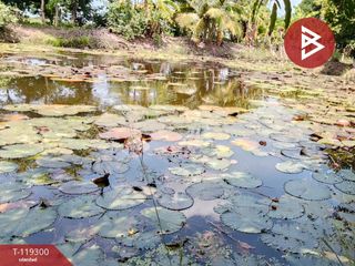 Terreno en venta en Sai Noi, Nonthaburi