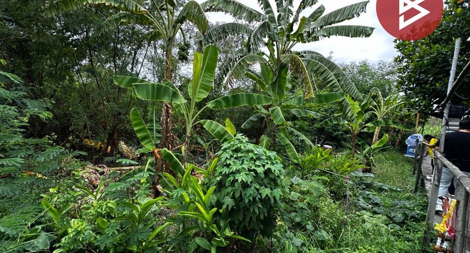 Terreno en venta en Bang Phli, Samut Prakan