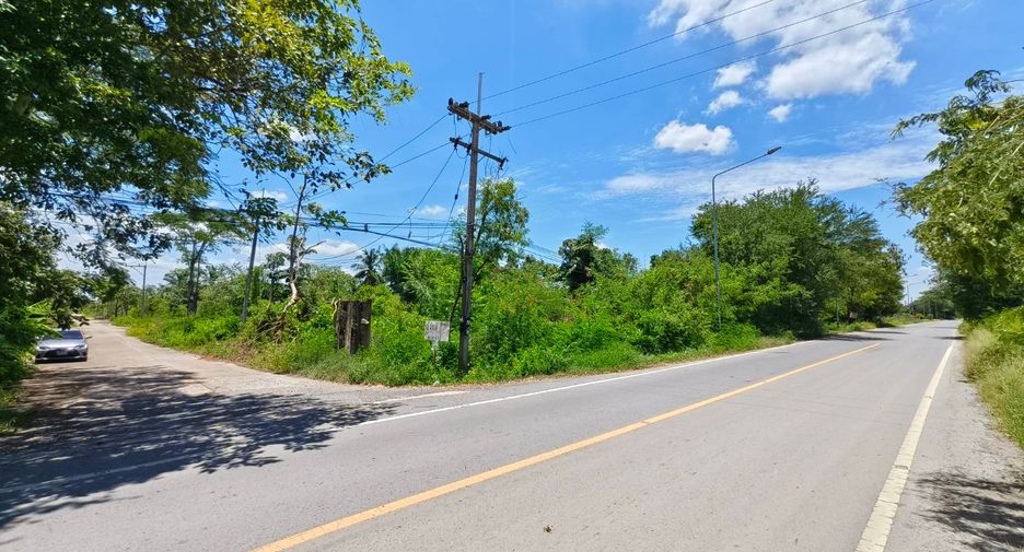 ขาย ที่ดิน ใน หนองเสือ, ปทุมธานี