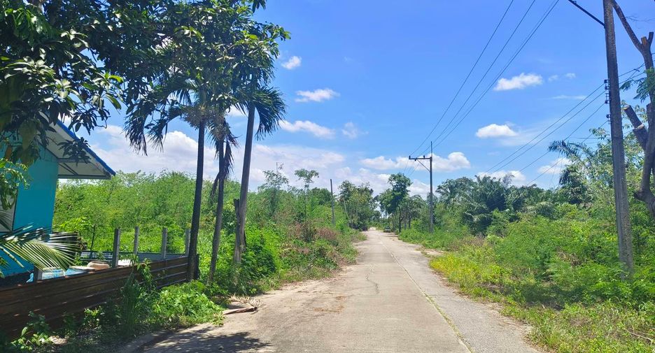 ขาย ที่ดิน ใน หนองเสือ, ปทุมธานี