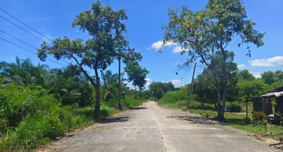 ขาย ที่ดิน ใน หนองเสือ, ปทุมธานี