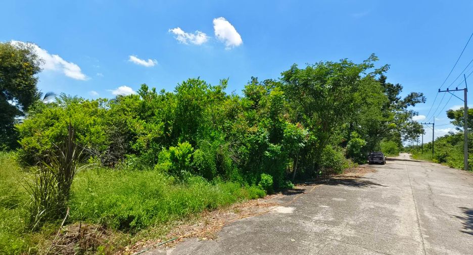 ขาย ที่ดิน ใน หนองเสือ, ปทุมธานี