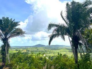 出售 土地 在 Takua Thung, Phangnga