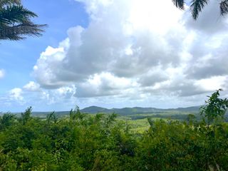 出售 土地 在 Takua Thung, Phangnga