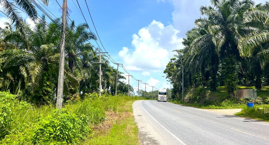 For sale land in Takua Thung, Phang Nga