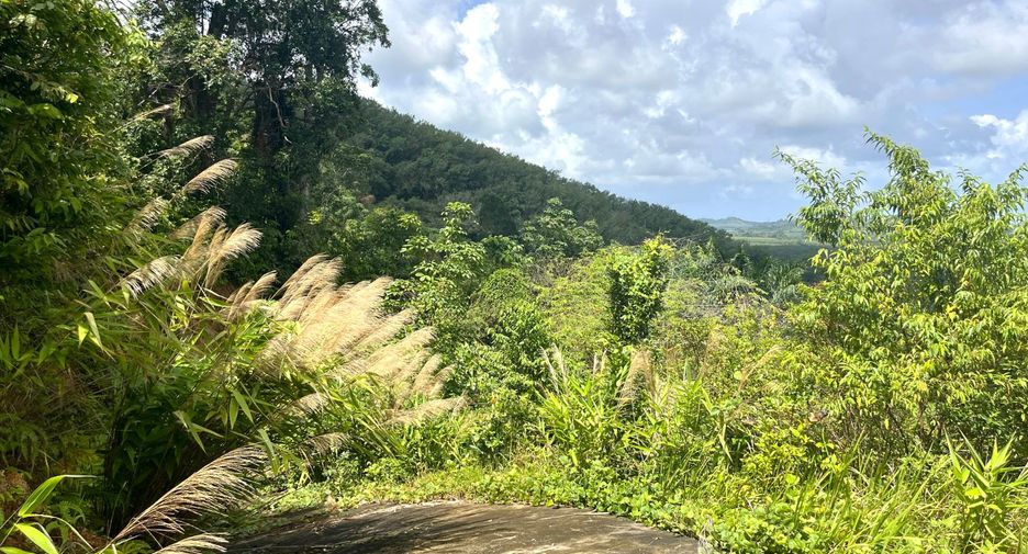 For sale land in Takua Thung, Phang Nga