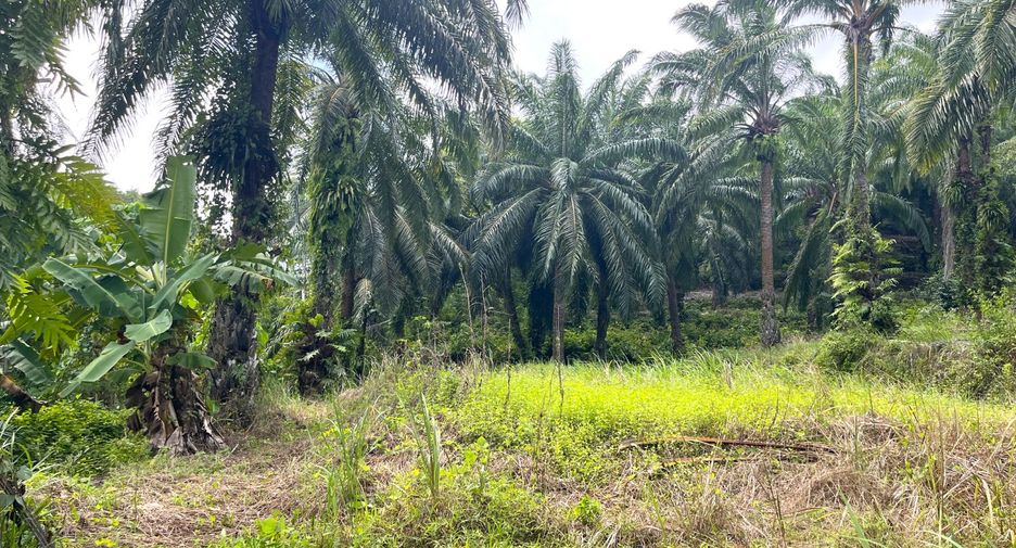 For sale land in Takua Thung, Phang Nga