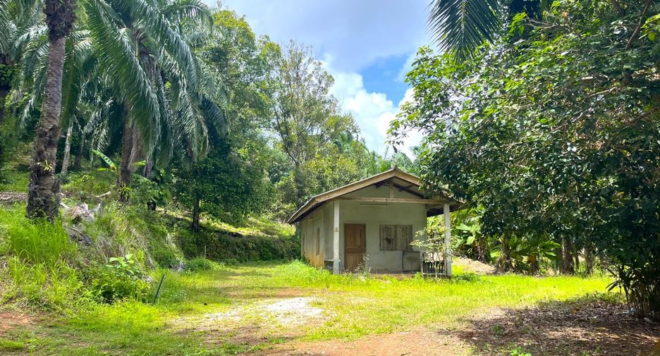 For sale land in Takua Thung, Phang Nga