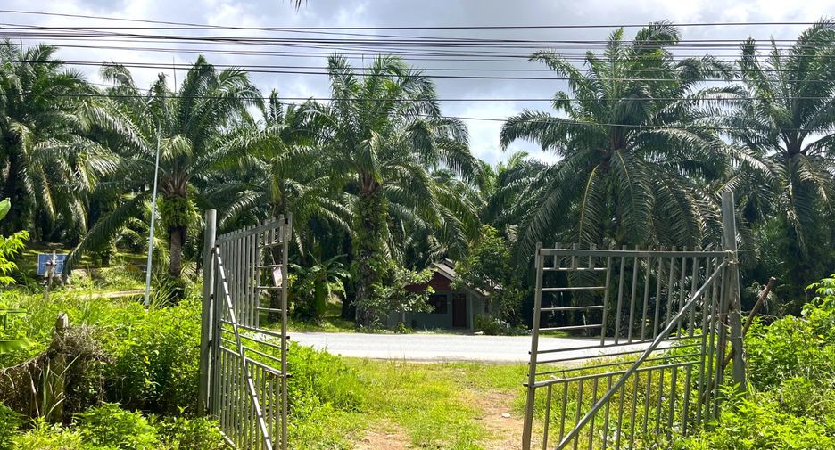 For sale land in Takua Thung, Phang Nga